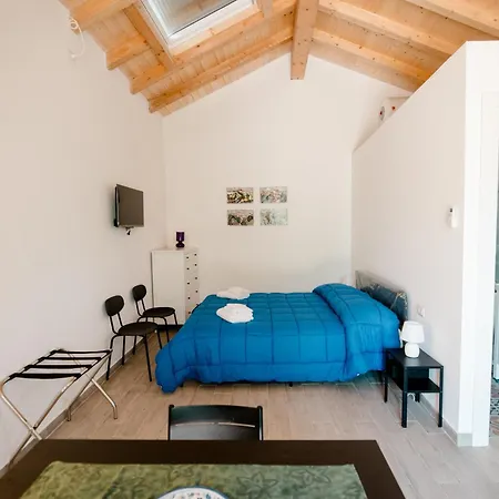 Lodge Malicodia
