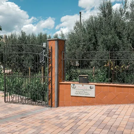 Lodge Malicodia *
