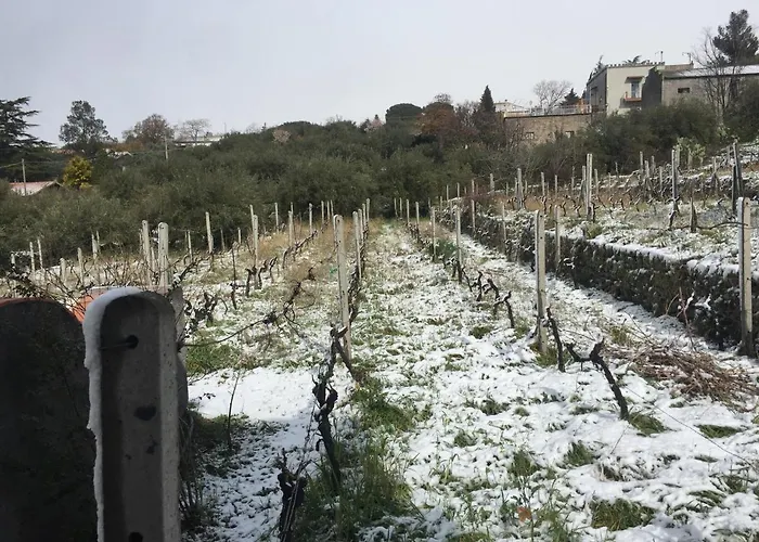 Malicodia Santa Maria di Licodia